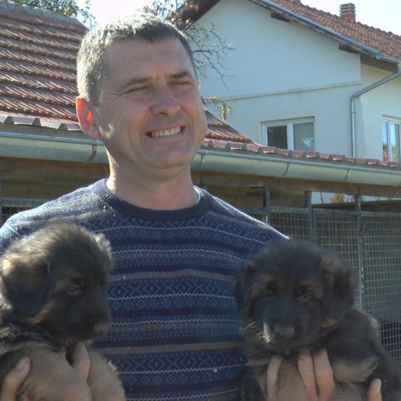 Kupci iz čitavog sveta žele srpske rasne pse: Oni od nemačkih ovčara prave šampione FOTO