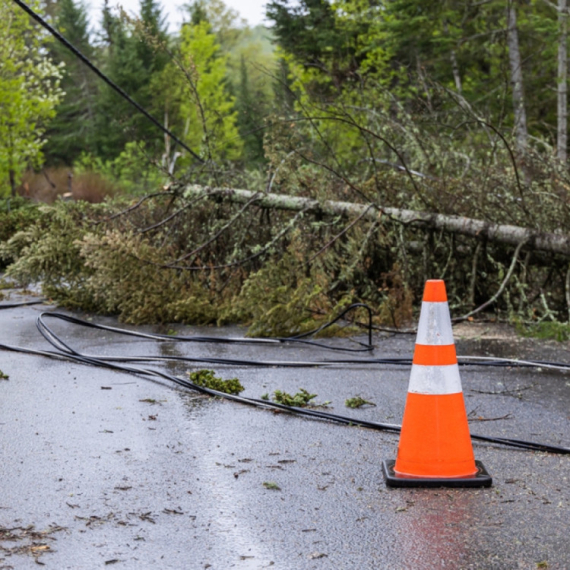 The storm is already roaring in Serbia: Hurricane wind uprooted trees PHOTO