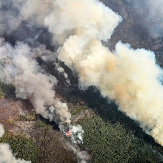 Neverovatan splet okolnosti: Požar u Kanadi izazvao orao?