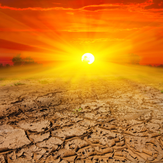 Alarms are sounding! The world faces a worst-case scenario; 450,000 could die?