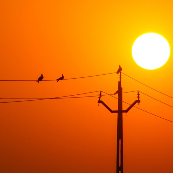 African heat rushes towards Serbia: It's hot again, up to 40 degrees