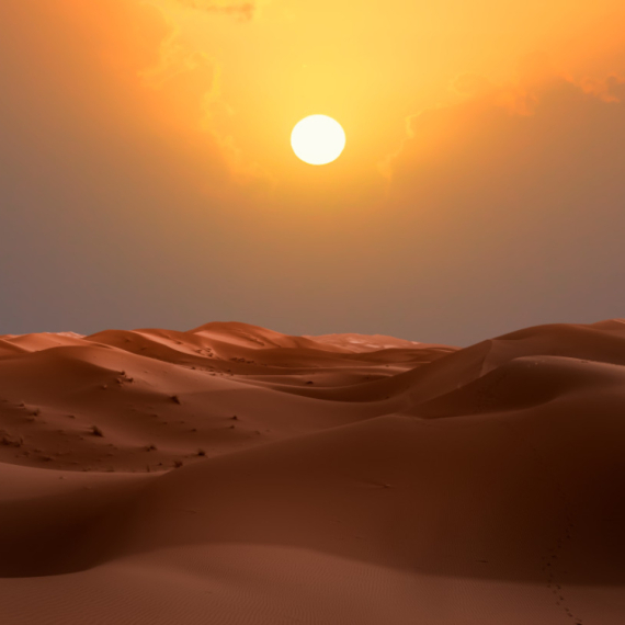 Do kraja veka Sahara bi mogla ponovo da bude zelena