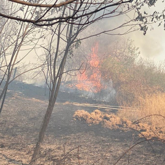 Požari u Albaniji: Angažovana vojska i međunarodna pomoć FOTO