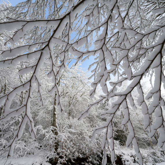 U Srbiju stiže ledeni udar? Sve zavisi od jedne stvari FOTO