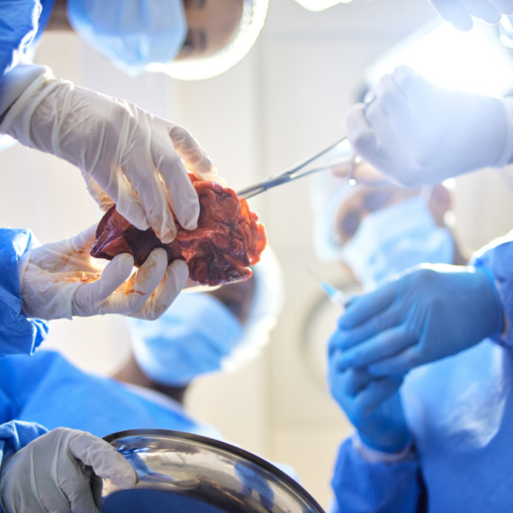 Do 2030. godine bi mogla da se odgoji genetski idealna svinja za doniranje organa