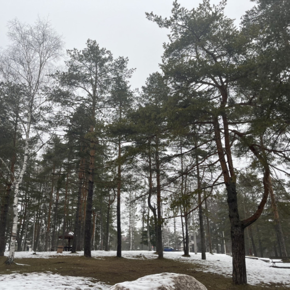 Muškarac zalutao na nepristupačnom terenu na Divčibarama, GSS hitno reagovao FOTO
