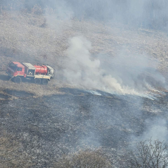 Veliki požar u Crnoj Gori: Vatra se brzo širi; Vatrogasci na nogama FOTO