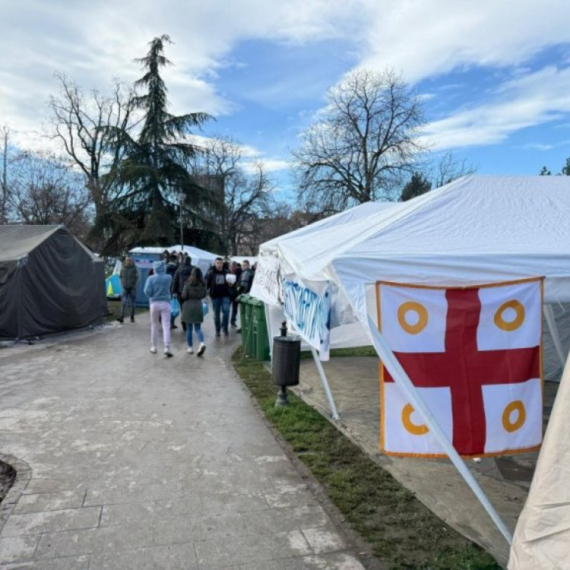 Studenti koji žele da uče sedmi dan u Pionirskom parku: "Naša budućnost mora da bude potkovana znanjem"