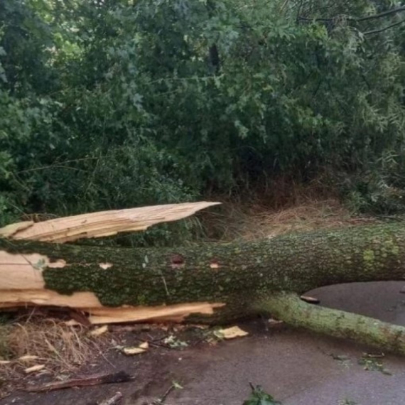 Vetar kidao crepove, domaćinstva ostala bez struje; Opasno je!