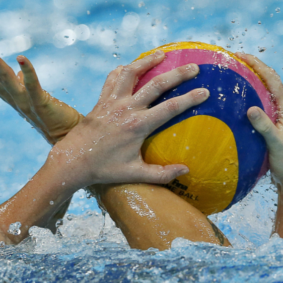 Delfini pokorili Evropu VIDEO