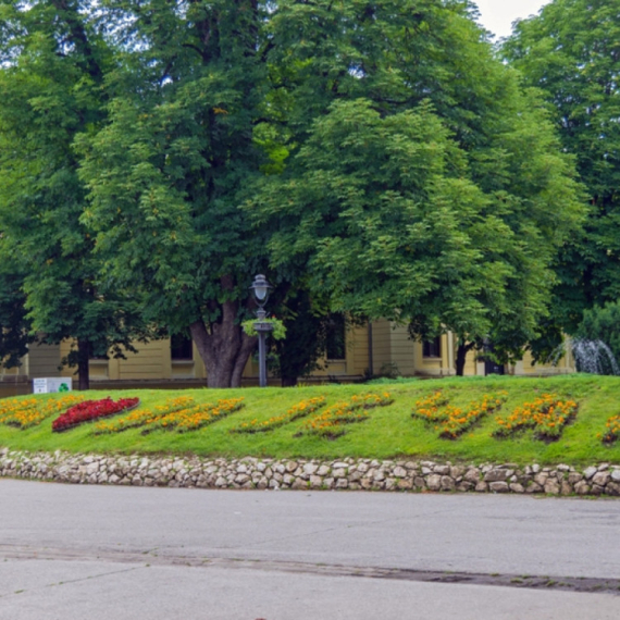 Viši sud u Zaječaru odbio i odbacio sve žalbe na ukupni izveštaj o rezultatima izbora