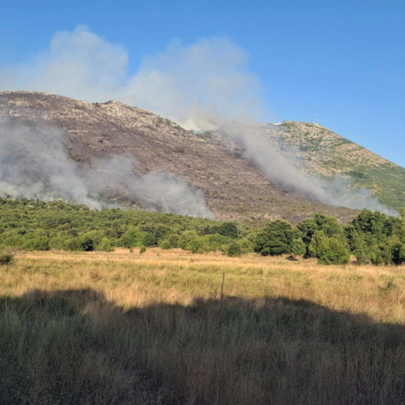 I dalje gori kod Trebinja: Ugrožene kuće, podignut helikopter FOTO