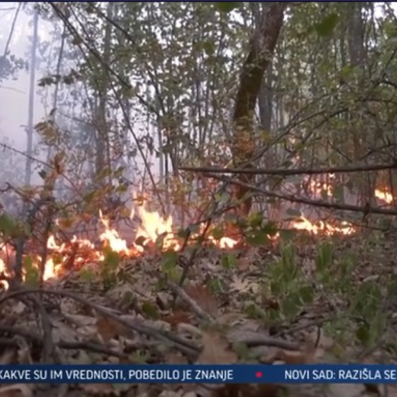 Buknuli novi požari u Topličkom kraju: Vanredna situacija i dalje na snazi VIDEO