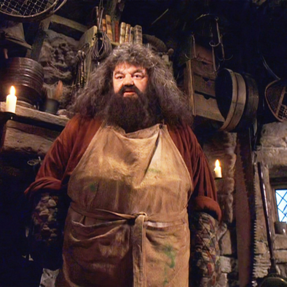 Evo kako izgleda novi Hagrid: Fanovi uznemireni zbog nove serije o Hariju Poteru FOTO