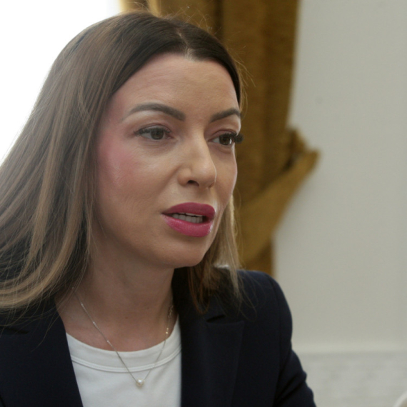 Mesarović: Još jedna laž onih koji pokušavaju da unište Srbiju; Tvrdnje opozicije zlonamerne