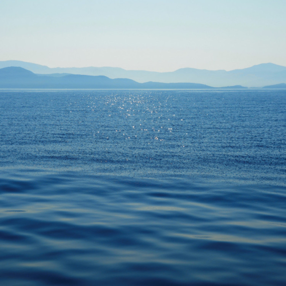 Zabrinjavajuća pojava u Sredozemnom moru: Izumiru?