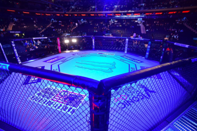 Slika za UFC Beograd: Borislav bije Rusa u Areni!