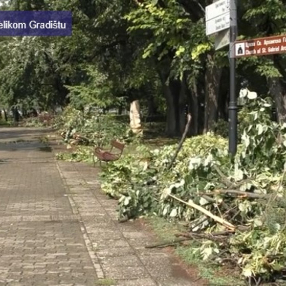 Nezapamćeno nevreme u Velikom Gradištu: Iščupano preko 50 stabala, vetar nosio krovove VIDEO