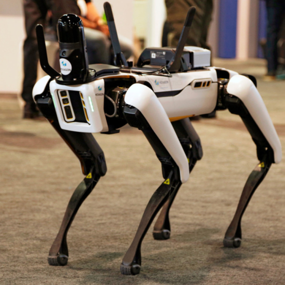 Robopas ima novu funkciju: Štiti picu od galebova VIDEO