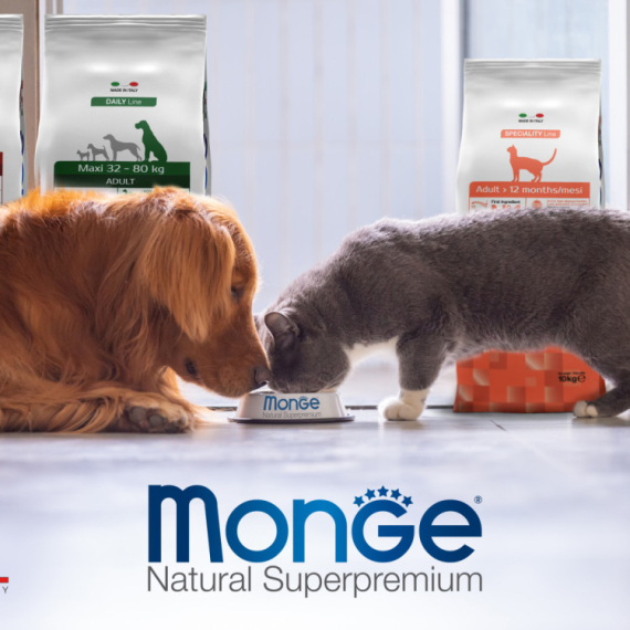 Monge hrana za pse: Superpremium izbor za zdravu ishranu i blistavi sjaj vašeg ljubimca