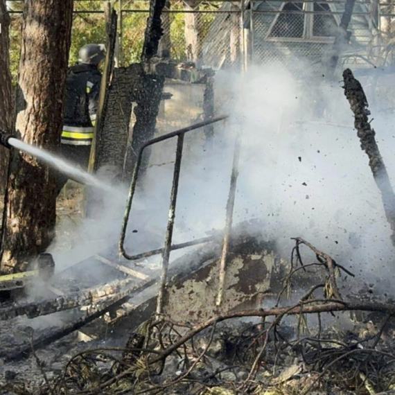 Tramp zove; Zarobljeno na hiljade, bez hrane FOTO/VIDEO