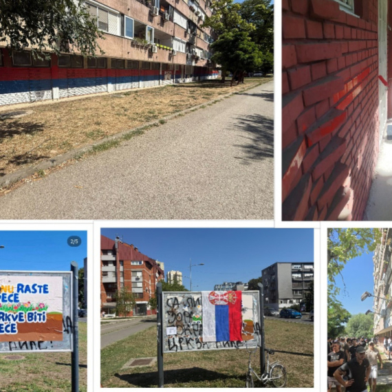 Građani se pobunili protiv vandalizma na Limanu: Ponovo naslikali srpsku trobojku FOTO/VIDEO
