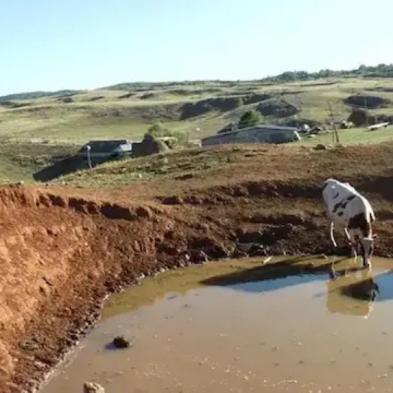Water Shortage Crisis: Villagers and Livestock Left Thirsty as Supply Delays Continue