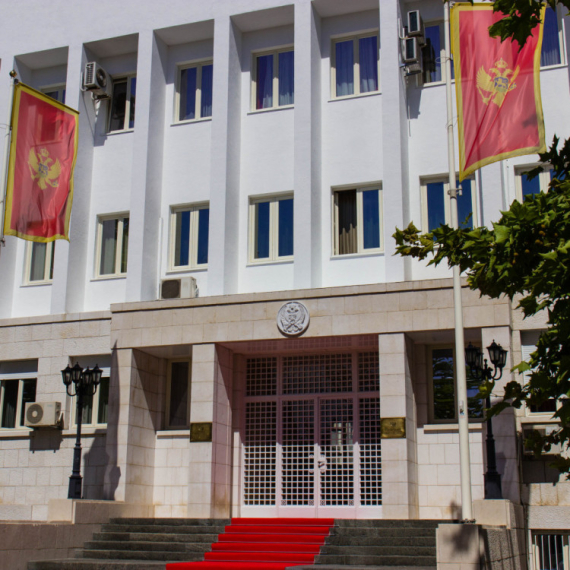 DNP Milana Kneževića sutra napušta Vladu