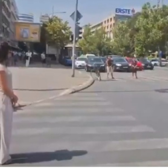 Desetak zgubidana maltretira ceo Novi Sad VIDEO