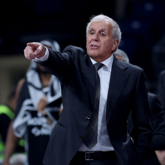 "The information I have about Obradović is quite reliable"