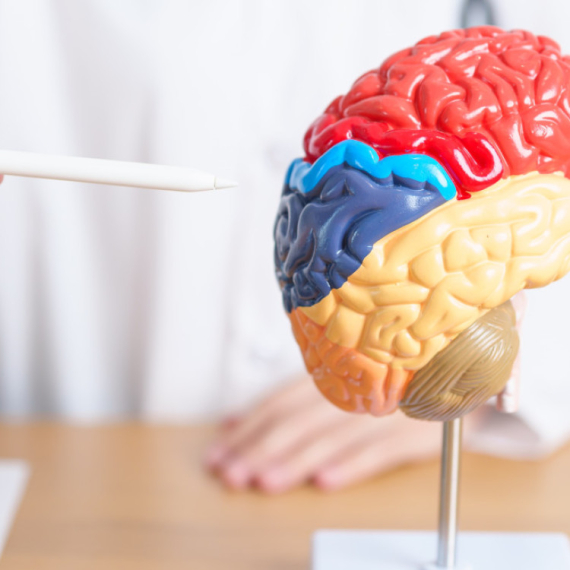 Ovo je najopasnija kombinacija hrane za mozak: Naučnici apeluju