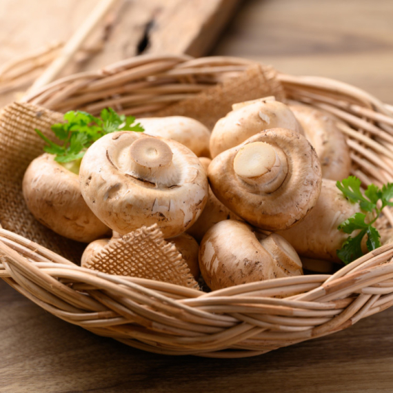 Pečurke mogu da vam poboljšaju celokupno zdravlje: Evo na šta sve utiču