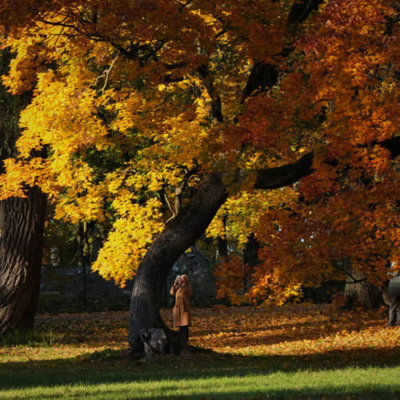 Iznenađujuća prognoza vremena za novembar