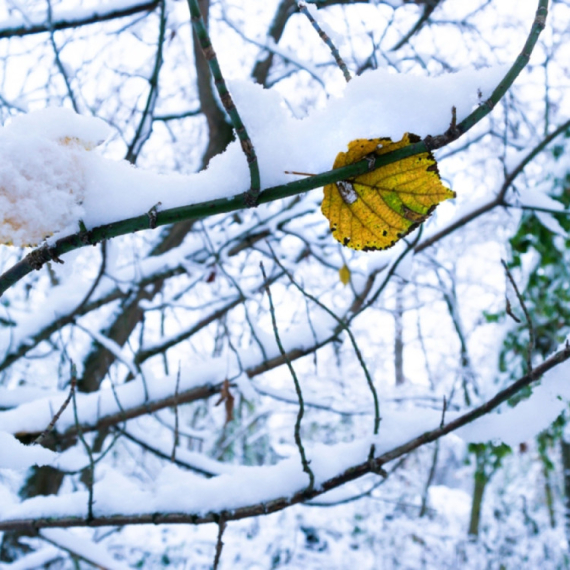 Čeka nas neverovatan preokret: Posle +20 slede temperature tek nešto iznad nule – padaće i sneg
