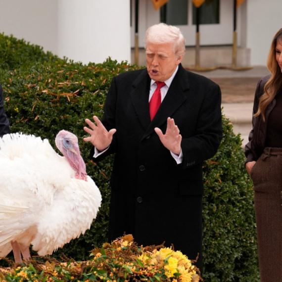 Tramp ćurke za Dan zahvalnosti nazvao "Nensi Pelosi" i "Čak Šumer": "Niko ih ne bi pomilovao" VIDEO