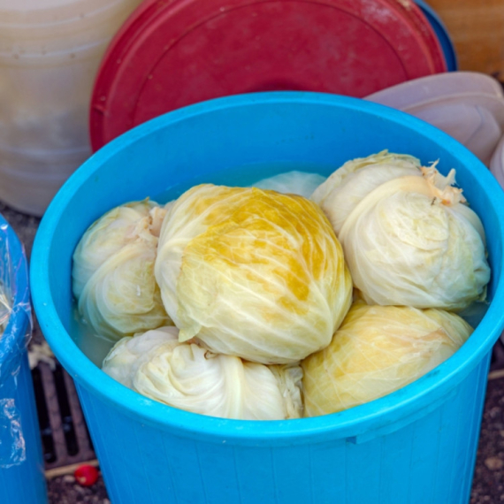 Kiseli kupus nije dobar za sve: Sedam razloga zašto ga treba jesti i tri protiv FOTO/VIDEO