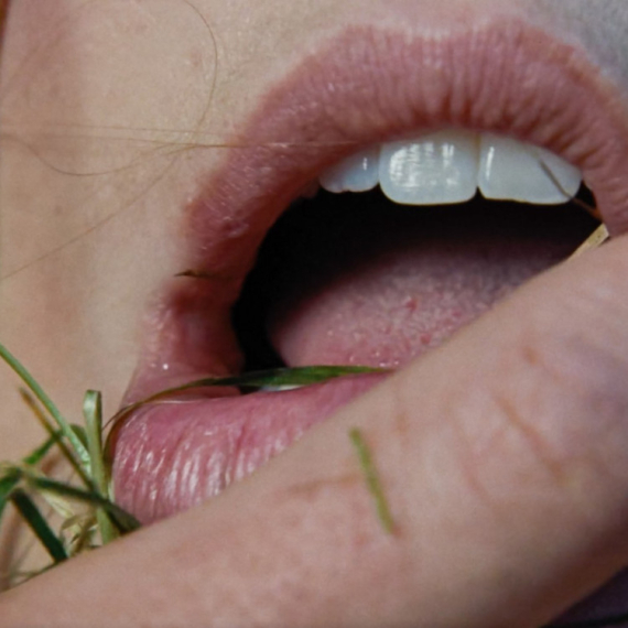 Zidovi u filmu "Orkanski visovi" se "znoje": Otkriveno od čega su napravljeni VIDEO