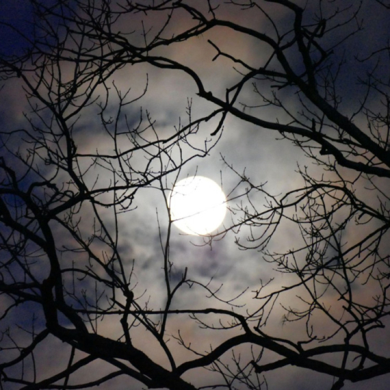 Večeras fenomen na nebu iznad Srbije: Poslednji do 2042. godine FOTO/VIDEO