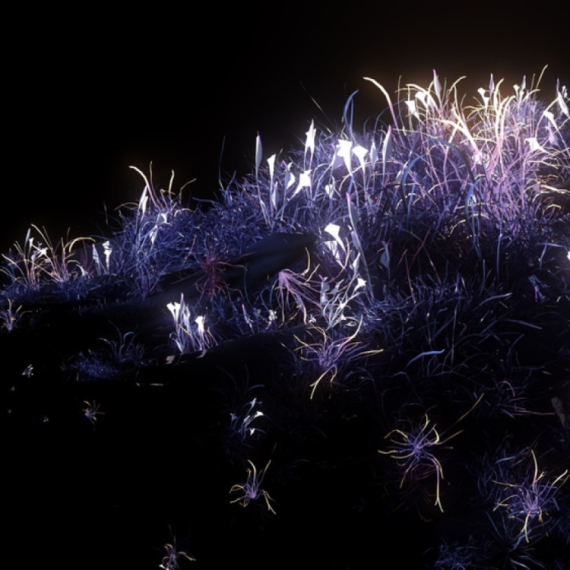 Kinezi izumeli biljke koje svetle u mraku