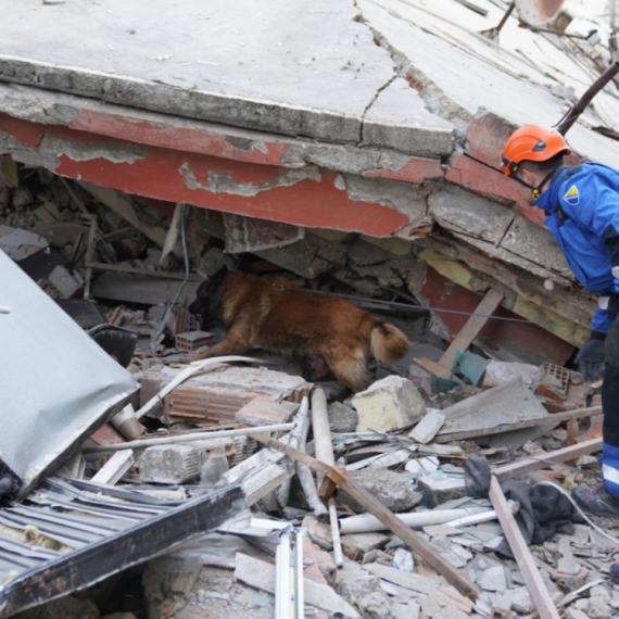 Da li psi imaju "šesto čulo" za zemljotrese i opasnosti? FOTO