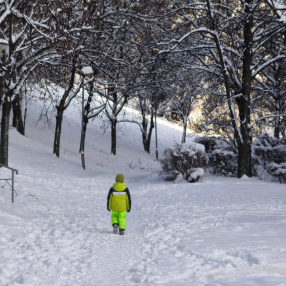 Srbija okovana snegom; Evo gde je najhladnije; Vanredna situacija u Sjenici FOTO/VIDEO