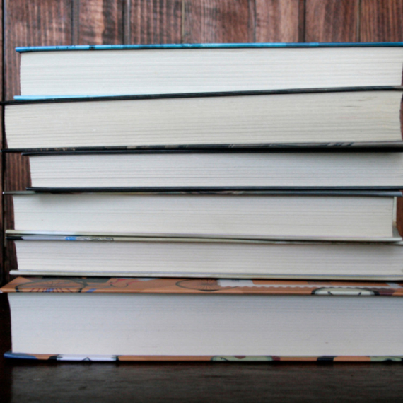 Ovih šest romana je ušlu u najuži izbor za NIN-ovu nagradu