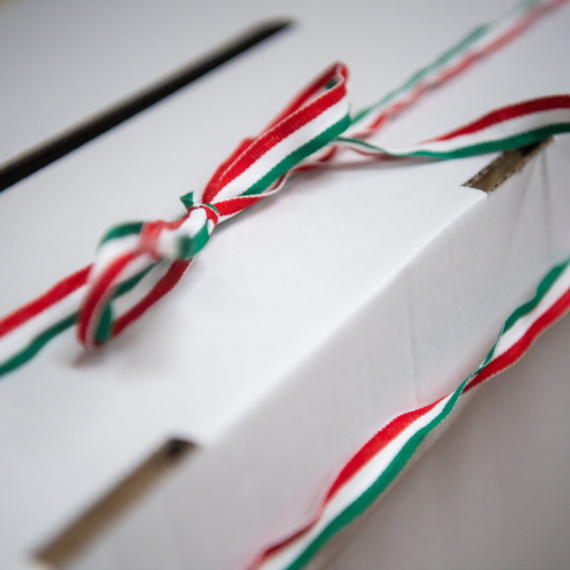 Poznat datum parlamentarnih izbora u Mađarskoj