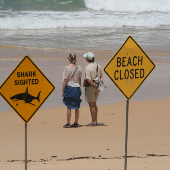 Preminuo dečak nakon napada ajkule: Oštećena mreža za hvatanje životinja