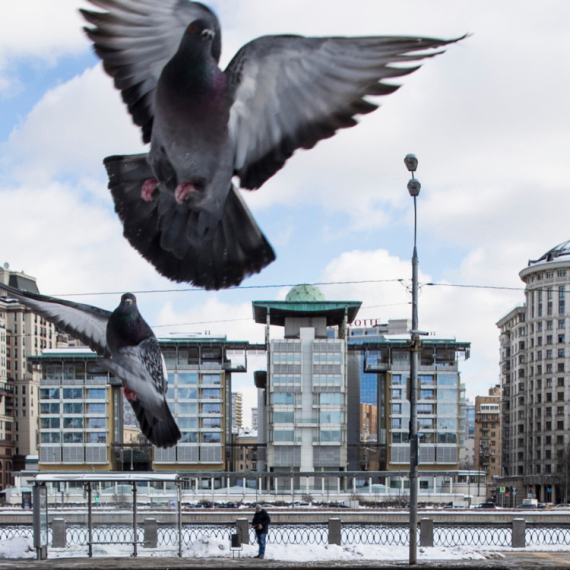 Distopija kuca na vrata: Rusi prave ptice-robote, leteće do 400 kilometara dnevno