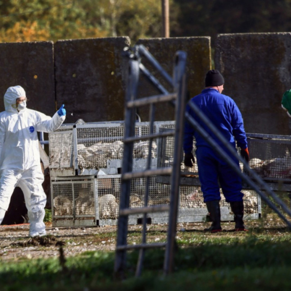 Stručnjaci upozoravaju na opasan virus: Prenosi se i na đonovima cipela