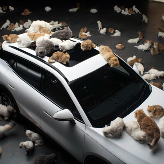 Neobična kampanja: Kineski automobil u Engleskoj promovišu mačke VIDEO