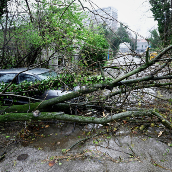 Totalni haos u Zagrebu; Oštećena vozila, ne rade tramvaju, a stabla padaju "kao kruške" FOTO/VIDEO
