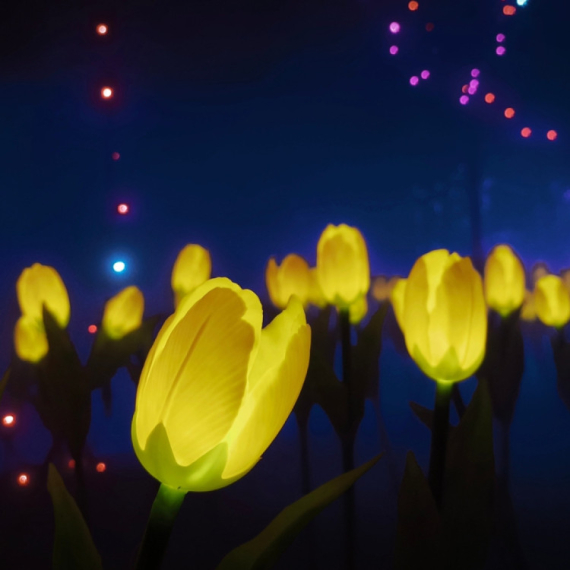 Naučnici stvorili biljke koje svetle u mraku: Baš kao u filmu Avatar FOTO