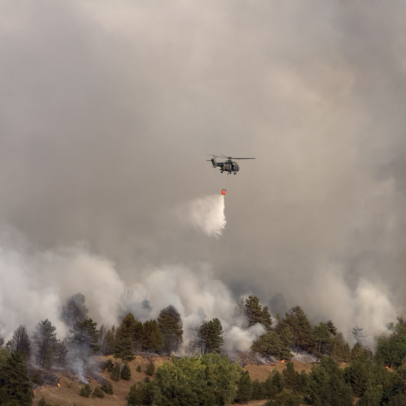 Požar i dalje bukti u Deliblatskoj peščari, na terenu ekipe iz cele Srbije